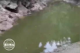 钓鱼时12岁儿子落水，父亲下水施救！结果双双溺亡图片