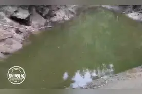 钓鱼时12岁儿子落水，父亲下水施救！结果双双溺亡图片