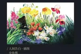 夫妻一方遇到灾难，另一方应该怎么做？图片