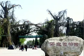 保定街拍   占地面积大又好玩保定植物园图片