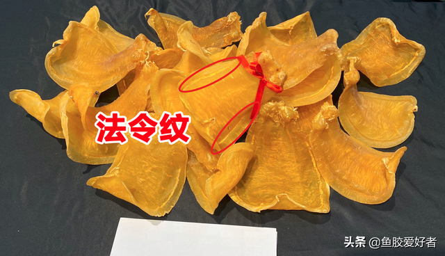 金兰赤嘴鱼胶的产地 2026年金兰赤嘴鱼胶的食用方法