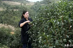 当年怀揣7000元只身闯广东的她，如今已是非物质文化遗产传承人图片