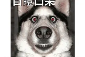 吃干脆面吃进医院？一张水浒卡为啥能让人这么疯狂图片