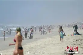 美加州海滩民众成群结队晒太阳图片