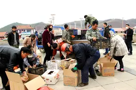 “免费鸡雏”进6村，生态养殖助脱贫图片