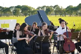 夕阳、稻田、音乐会~长假来这里“听稻”图片