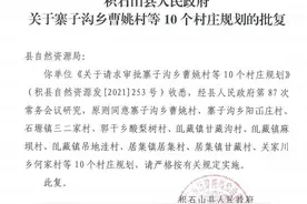 积石山县癿藏镇麻坝村村庄规划批后公示图片