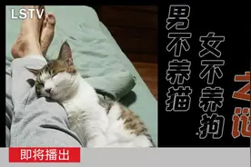 奶奶一句话，全家都反对我养狗图片