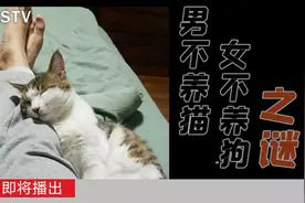奶奶一句话，全家都反对我养狗图片