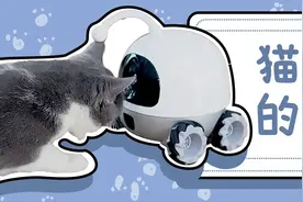 摄像头在猫咪眼中，到底是怎样的存在？图片