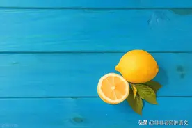 湖北省黄冈市2022届高三9月调研考试语文试题及答案解析图片
