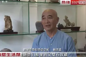 「视频」 鹤壁杨洪喜：奇石是大自然的馈赠图片