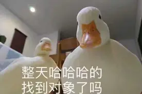 那些整天哈哈哈哈哈的，找到对象了吗？图片