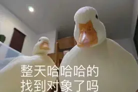 那些整天哈哈哈哈哈的，找到对象了吗？图片
