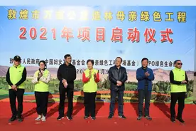 大地妈妈易解放带领绿色生命团队和志愿者参加敦煌植树图片
