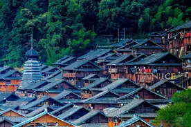 “换花草”有科学依据吗？贵州占里村的生育现象怎样科学地解释？图片