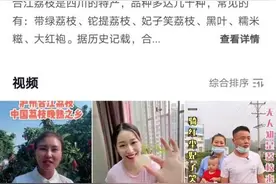 合江晚熟荔枝在抖音上火了！短视频大赛倒计时17天，等你来战！图片