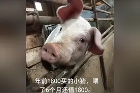 我要给孩子买大疆无人机，我媳妇不让！说等有孩子再说图片