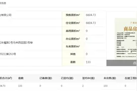 东盟商圈小户型面市，2.5万/平遭哄抢图片