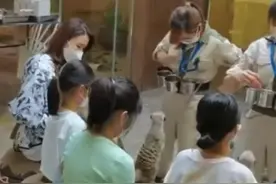 黎姿一家7口罕见露面，三位女儿穿着朴素，弟弟坐轮椅被众人照顾图片