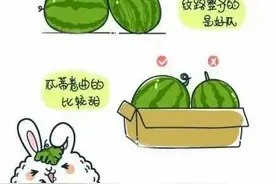 花式剥果皮指南，一秒get新技能，看完你就变高手图片