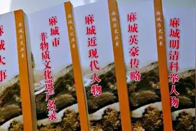 五个将军的故事图片