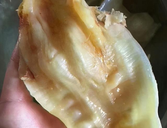 炖花胶羊肉 2026年如何做花胶炖羊肉汤