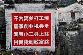 改变命运的选择！90后小伙网店卖辣椒酱收入百万，全款买房买车图片