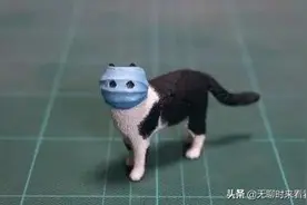 「口罩猫」火了！日本沙雕手办大佬又现江湖图片