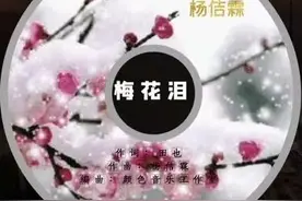 “声”援战“疫”！顺义原创歌曲《梅花泪》，向抗疫英雄致敬图片
