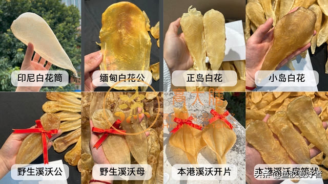 巴基斯坦白花胶 2026年巴基斯坦白花胶的功效
