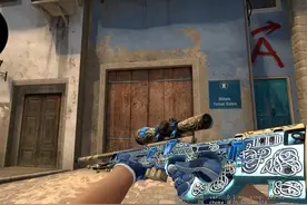 「CSGO」 高端蓝色饰品推荐 , 价值数十万的皮肤 , 职业哥都在用图片