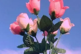 为什么有些男人追了你很久，可你刚动心，他就离开了？图片