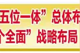 邯郸司机驾照被冒用遭记分降级，太原交警破案还其清白图片