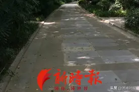 告别送外卖、跑滴滴……跨省游重启，济南旅游人踏上“回归路”图片
