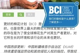 除H&M外，耐克、阿迪、宜家等大牌或也参与抵制新疆棉图片