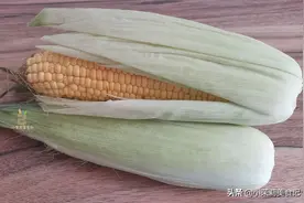 原来保存玉米这么简单，教您一招，不老不干，放一年还鲜嫩爆汁图片