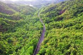 C位出道！这条公路，每1km都美到哭…图片