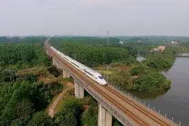 西黎——母亲的故乡图片