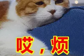 关于《广西壮族自治区文明行为促进条例》，你需要知道这些...图片