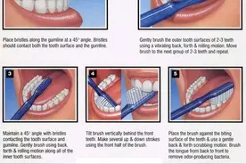 正确的刷牙方法——巴斯刷牙法图片