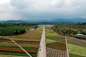 浙江武义：“下山脱贫”三级跳图片