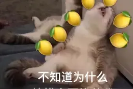 羡慕嫉妒！常德一高校辅导员感冒，竟同时收到学生23杯"冬天的第一杯奶茶"图片