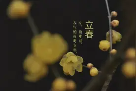 明年辛丑年，老农说“牛碰寡妇年，来年谷满仓”，明年收成会好吗图片
