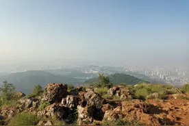是时候管管长虫山了图片