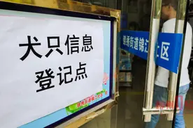柳州养犬登记开始了！带上这3样东西，赶快为爱犬办理“身份证”图片