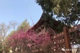 正是花开好时节 不负韶华不负春图片