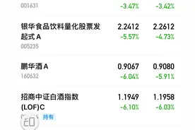 跌得最惨的五只白酒基金，一个月最大回撤-20%图片