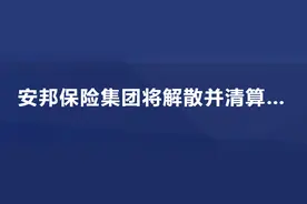 2万亿金融巨鳄安邦保险走上解散和清算之路图片