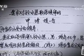孙小果的复活与覆灭丨被判死刑却“死而复生”再作恶 他的背后都有谁？图片